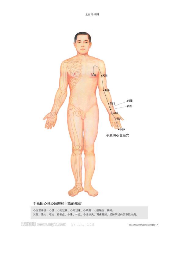 人体经络图全集免费 免费PDF资源库