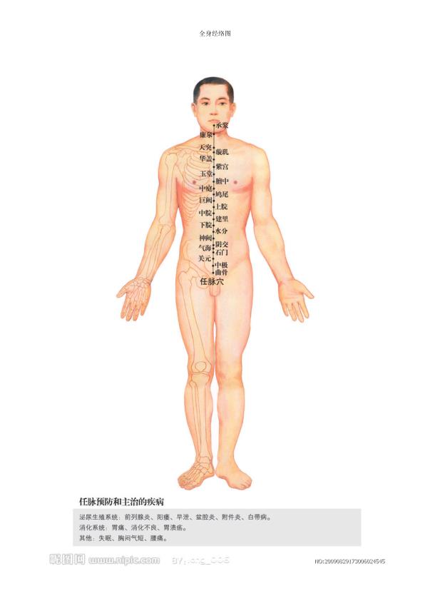  人体经络图全集(免费) 