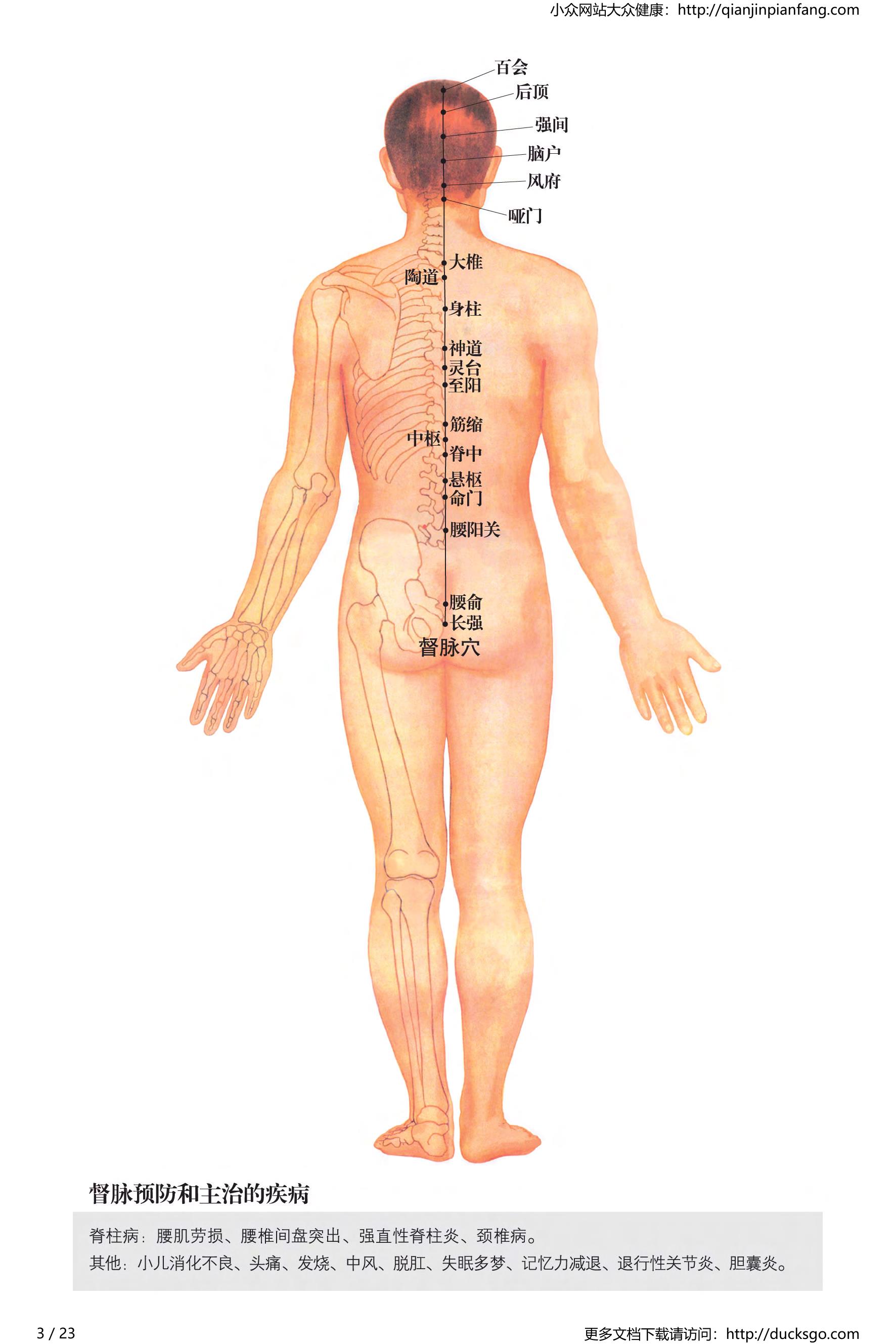  超高清版人体穴位经络大图 